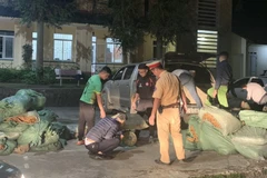Số hàng không rõ nguồn gốc xuất xứ được đưa về Công an huyện Trùng Khánh để tiếp tục điều tra làm rõ. (Ảnh: Thanh Duyên/TTXVN)