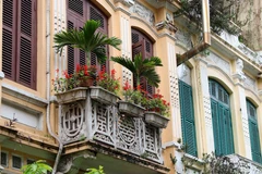 Màu thời gian như chùng lại, lắng đọng trong một Hội Vũ quen mà lạ. (Ảnh: Thanh Tùng/TTXVN)