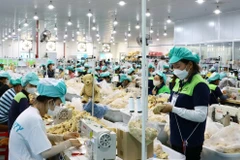 (Ảnh minh họa: TTXVN phát)