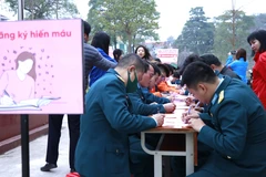 Chương trình "Ngày Chủ nhật Đỏ” lần thứ XVI đã huy động gần 700 đoàn viên thanh niên và các tầng lớp nhân dân tham gia đăng ký hiến máu. (Ảnh: Tuấn Anh/TTXVN)