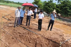 Cơ quan chức năng xem xét hiện trạng kiến trúc nghi mộ gạch trước khi khai quật khảo cổ khẩn cấp. (Ảnh: TTXVN phát)