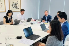 Phó Cục trưởng Cục Điện lực và Năng lượng tái tạo Phạm Nguyên Hùng phát biểu tại Lễ Công bố. (Ảnh: Đức Dũng/Bnews/TTXVN)