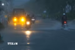 Ảnh minh họa. (Nguồn: TTXVN)