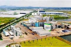 Một góc khu công nghiệp chuyên sâu Phú Mỹ 3, phường Phước Hòa, thị xã Phú Mỹ, tỉnh Bà Rịa-Vũng Tàu. (Ảnh: Hồng Đạt/TTXVN)