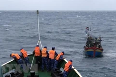 (Ảnh minh họa: Minh Huệ/TTXVN)