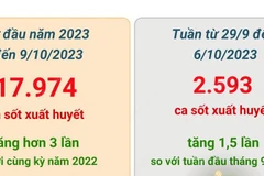 [Infographics] Số ca sốt xuất huyết tại Hà Nội tăng hơn 3 lần