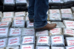 Cảnh sát Honduras thu giữ lượng ma túy tổng hợp fentanyl lớn kỷ lục