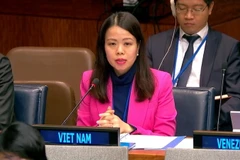 Bà Nguyễn Minh Hằng phát biểu tại Trụ sở Liên hợp quốc ở New York, Mỹ. (Ảnh: TTXVN)