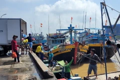 Tàu bốc dỡ cá tại Cảng cá Xí nghiệp Dịch vụ hậu cần Thủy sản Hưng Thái, huyện Long Điề, tỉnh Bà Rịa-Vũng Tàu. (Ảnh: Hoàng Nhị/TTXVN)