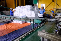 Sản xuất mía đường. (Ảnh Đặng Tuấn/TTXVN)