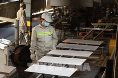 Dây chuyền sản xuất tại Công ty Cổ phần Prime Đại Việt, tỉnh Vĩnh Phúc. (Ảnh: Hoàng Hùng/Bnews/TTXVN) 