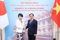 Bộ trưởng Ngoại giao Bùi Thanh Sơn với Bộ trưởng Ngoại giao Nhật Bản Kamikawa Yoko. (Ảnh: Minh Đức/TTXVN)
