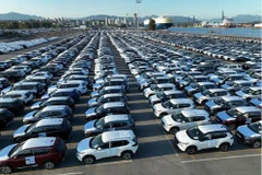 Những chiếc ôtô mới cập bến đảo Annacis ở Delta, British Columbia, Canada, ngày 31/7 vừa qua. (Nguồn: Reuters)