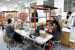 Nhân viên đóng gói, xuất đơn hàng trong một công ty thương mại điện tử tại thành phố Thủ Đức, Thành phố Hồ Chí Minh. (Ảnh: Hồng Đạt/TTXVN)