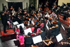 Ảnh minh họa. (Nguồn: TTXVN)