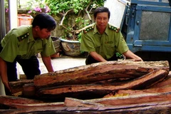 Ảnh minh họa. (Nguồn: Thế Lập/TTXVN)