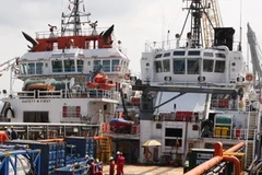 (Ảnh minh họa: Hà Thái/TTXVN)