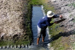 Cải tạo lại một vuông nuôi sau khi tôm bị chết ở huyện Mỹ Xuyên, Sóc Trăng. (Ảnh: Trung Hiếu/TTXVN)