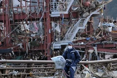 Cảnh tàn phá ở Miyagi, ngày 22/3. (Ảnh: AFP/TTXVN)