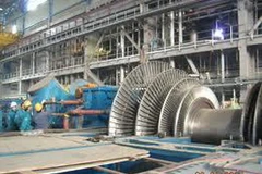 Ảnh minh họa. (Nguồn: Internet)