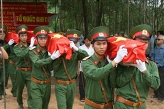 Ảnh minh họa. (Nguồn: TTXVN)