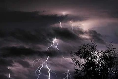 Ảnh minh họa. (Nguồn: Internet)