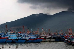Tàu thuyền ngư dân về neo đậu tránh bão tại âu thuyền Thọ Quang, thành phố Đà Nẵng. (Ảnh: An Đăng/TTXVN)