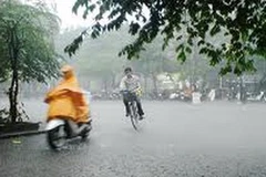 Ảnh minh họa. (Nguồn: Internet)