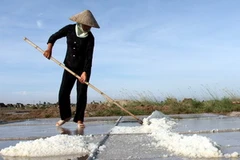 Ảnh minh họa. (Ảnh: Huy Hùng/TTXVN)