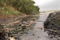 Sông Trà Khúc tiếp tục bị bức tử. (Ảnh: cand)