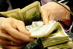 Ảnh minh họa. (Nguồn: Internet)