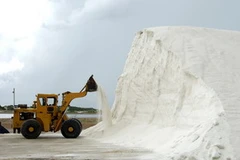 Sản xuất muối công nghiệp. (Ảnh: Anh Tuấn/TTXVN)