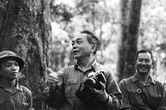 Đại tướng Võ Nguyên Giáp. (Ảnh: Internet)