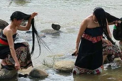 Ảnh minh họa. (Nguồn: Internet)