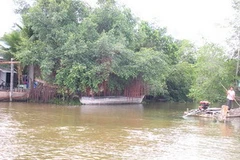 Sông Vàm Cỏ Đông. (Ảnh: Internet)