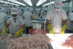 Công nhân chế biến cá tra xuất khẩu. (Ảnh: Minh Trí/TTXVN)