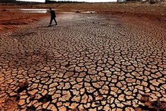 Ảnh minh họa. (Nguồn: Internet)