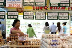 Ảnh minh họa. (Nguồn: TTXVN)