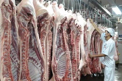 Thịt lợn sạch được đưa vào chế biến. (Ảnh: Kim Phương/TTXVN)
