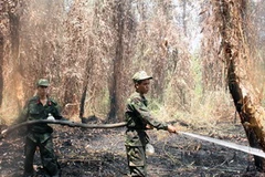 Ảnh minh họa. (Nguồn: TTXVN)