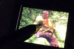 Ảnh minh họa. (Nguồn: Internet)