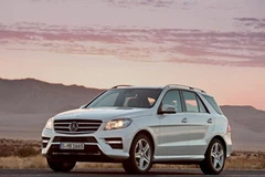 Ảnh minh họa. (Nguồn: Internet)