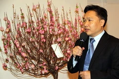 Tham tán Trương Công Hùng phát biểu chúc Tết. (Ảnh: Văn Long/Vietnam+)