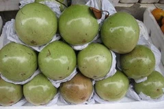 Ảnh minh họa. (Nguồn: Internet)