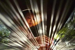  "Tỏa sáng" của tác giả Đinh Mạnh Tài. (Nguồn: baotintuc.vn)