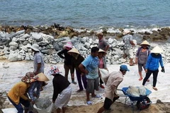 Các tỉnh ven biển miền Trung đang khẩn trương chuẩn bị đối phó với cơn bão số 8. (Ảnh: Quốc Việt/TTXVN)