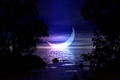 Ảnh minh họa. (Nguồn: Internet)