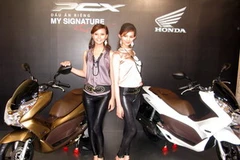 Mẫu xe PCX 125-My Signature. (Ảnh: Văn Xuyên/Vietnam+)