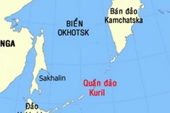 Ảnh minh họa. (Nguồn: Internet)