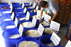 Cửa hàng Foocomart của công ty lương thực Thành phố Hồ Chí Minh tham gia bán gạo bình ổn thị trường.(Nguồn: Đình Huệ/TTXVN)